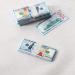 Mini Currency Bundle for Labubu