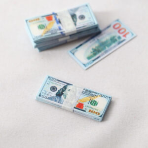 Mini Currency Bundle for Labubu